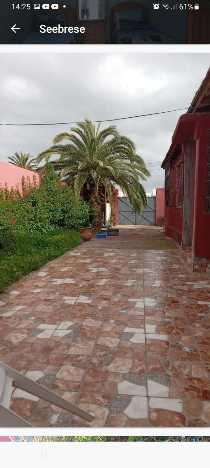 Bed and Breakfast Palmtree El Jadida Exterior foto
